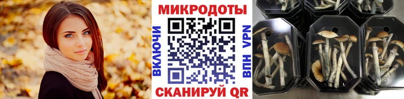 Галлюциногенные грибы GOLDEN TEACHER  Купить  Кремёнки 